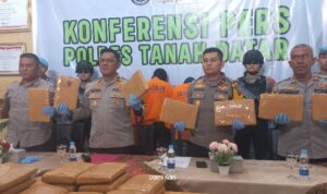 tarantula-sapu-bersih!-pick-up-hitam-berisi-27-paket-ganja-dicegat-di-jalan-sunyi-ombilin
