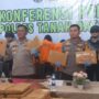 tarantula-sapu-bersih!-pick-up-hitam-berisi-27-paket-ganja-dicegat-di-jalan-sunyi-ombilin