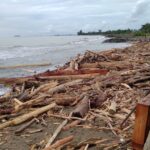 bencana-banjir-sumbar-disebabkan-juga-karena-pembalakan