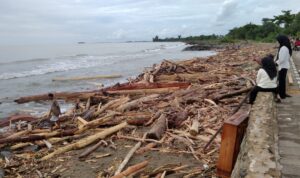 bencana-banjir-sumbar-disebabkan-juga-karena-pembalakan bencana-banjir-sumbar-disebabkan-juga-karena-pembalakan
