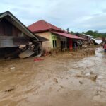 selamat-dari-galodo,-inilah-kisah-mur-di-kayu-pasak,-palembayan.