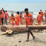 dlh-padang -segera-tuntaskan-penanganan-sampah-pascabencana-dalam-9-hari