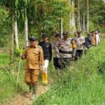 gunakan-jembatan-dari-pohon-kelapa,-warga-subarang-luak-batipuah-tidak-lagi-terisolasi