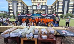 polda-sumbar-musnahkan-121-kg-lebih-ganja