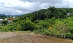 pemko-padang-siapkan-3,5-ha-lahan-untuk-hunian-tetap-bagi-korban-bencana