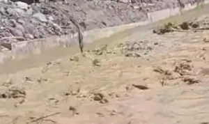 cuaca-terik-maninjau-diterjang-banjir-bandang-aneh-material-kayu-ikut-terseret