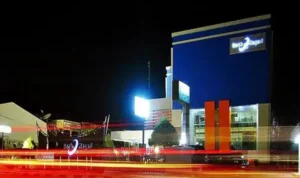 bank-nagari-pacu-ekonomi-sumbar-kua-modernisasi-pertanian-pascabencana