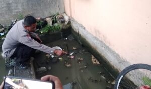 Polisi Selidiki Dua Warga Pasaman Barat Tewas di Kolam Getah Karet