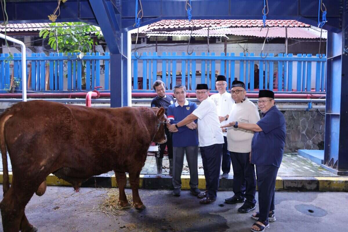 Kemnaker Himpun 93 Hewan Kurban, Perkuat Kepedulian Sosial