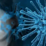 Mengenal Hantavirus: Ancaman Penyakit Zoonosis yang Sudah Ada Sejak Lama