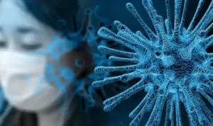mengenal-hantavirus-ancaman-penyakit-zoonosis-yang-sudah-ada-sejak-lama