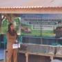 Pemkab Dharmasraya Salurkan Traktor, Benih Padi Dongkrak Produktivitas