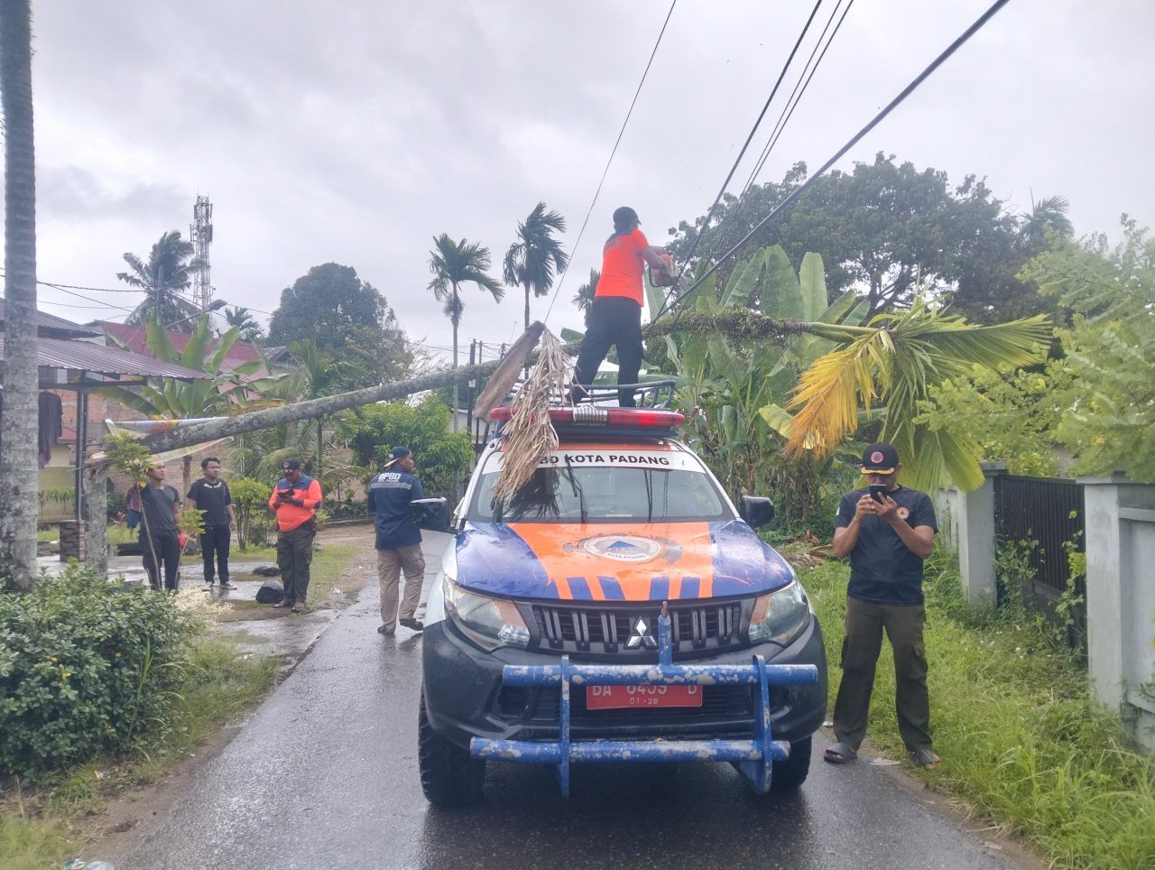 hujan-dan-angin-kencang-di-padang,-pohon-pinang-15-meter-tumbang-timpa-kabel-telepon-di-nanggalo