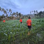diduga-hanyut-di-sungai,-bocah-3,5-tahun-di-koto-tapan-pasaman-dicari-tim-sar-gabungan