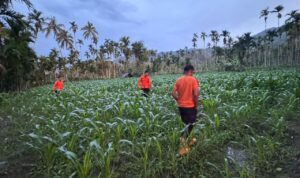 diduga-hanyut-di-sungai,-bocah-3,5-tahun-di-koto-tapan-pasaman-dicari-tim-sar-gabungan