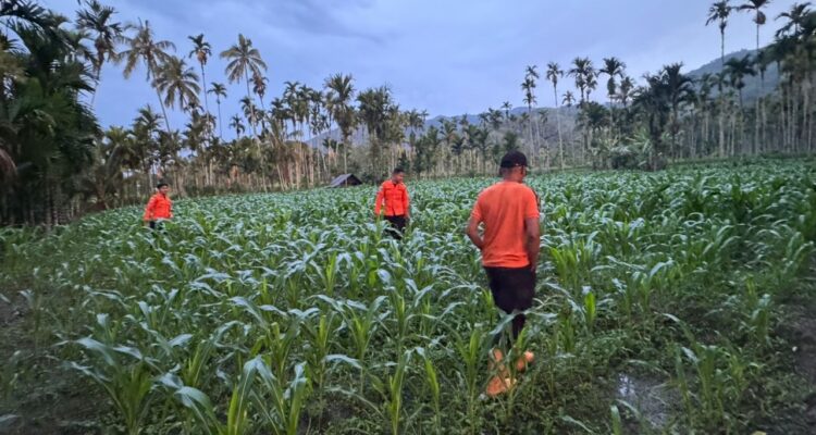 diduga-hanyut-di-sungai,-bocah-3,5-tahun-di-koto-tapan-pasaman-dicari-tim-sar-gabungan