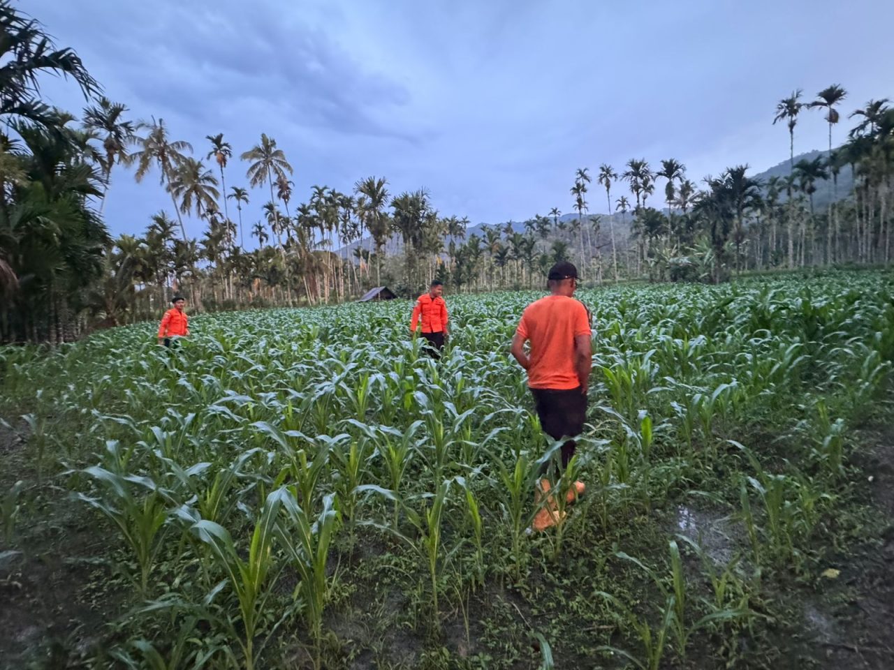 diduga-hanyut-di-sungai,-bocah-3,5-tahun-di-koto-tapan-pasaman-dicari-tim-sar-gabungan