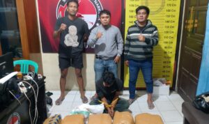 kecelakaan-berujung-apes,-polsek-gunung-talang-amankan-seorang-pria-dengan-25-kg-ganja-kering kecelakaan-berujung-apes,-polsek-gunung-talang-amankan-seorang-pria-dengan-25-kg-ganja-kering