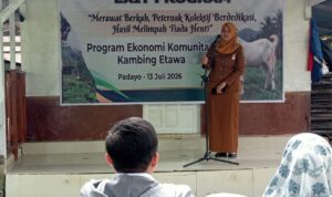 dorong-mustahik-menjadi-muzaki,-upz-baznas-semen-padang-tuntaskan-program-kambing-etawa dorong-mustahik-menjadi-muzaki,-upz-baznas-semen-padang-tuntaskan-program-kambing-etawa