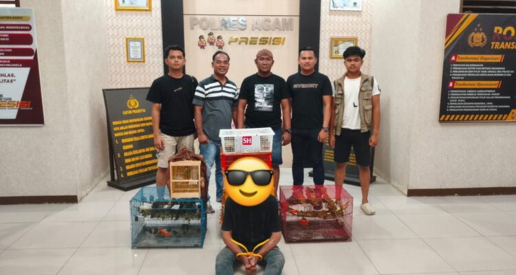 polres-agam-dan-bksda-cokok-pelaku-perdagangan-satwa-dilindungi,-ratusan-burung-disita
