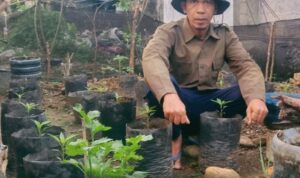 dari-jurnalisme-ke-pertanian-organik:-cara-ara-jaga-ketahanan-pangan-keluarga
