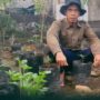 dari-jurnalisme-ke-pertanian-organik:-cara-ara-jaga-ketahanan-pangan-keluarga