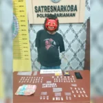 gerebek-ladang-alpukat,-polres-pariaman-amankan-bandar-dan-81-paket-sabu