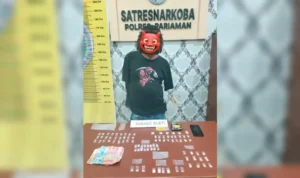 gerebek-ladang-alpukat,-polres-pariaman-amankan-bandar-dan-81-paket-sabu