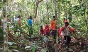 bpbd-kota-padang-lakukan-pencarian-warga-hilang-di-kawasan-hutan-biologis-unand bpbd-kota-padang-lakukan-pencarian-warga-hilang-di-kawasan-hutan-biologis-unand