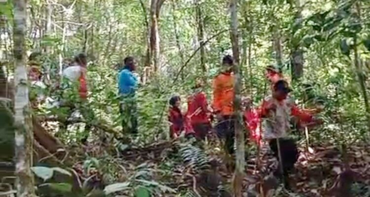 bpbd-kota-padang-lakukan-pencarian-warga-hilang-di-kawasan-hutan-biologis-unand
