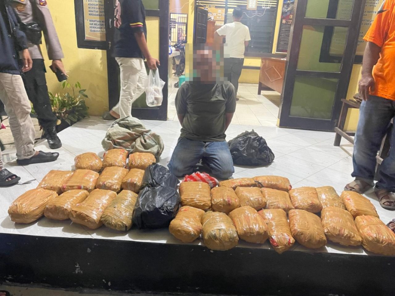 penyelundupan-ganja-lintas-provinsi-digagalkan-di-pasaman-barat,-kurir-beserta-30-paket-barang-bukti-diamankan