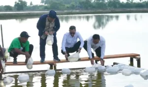 satgas-prr-percepat-pemulihan-ekonomi-aceh-lewat-sektor-tambak-kopi satgas-prr-percepat-pemulihan-ekonomi-aceh-lewat-sektor-tambak-kopi