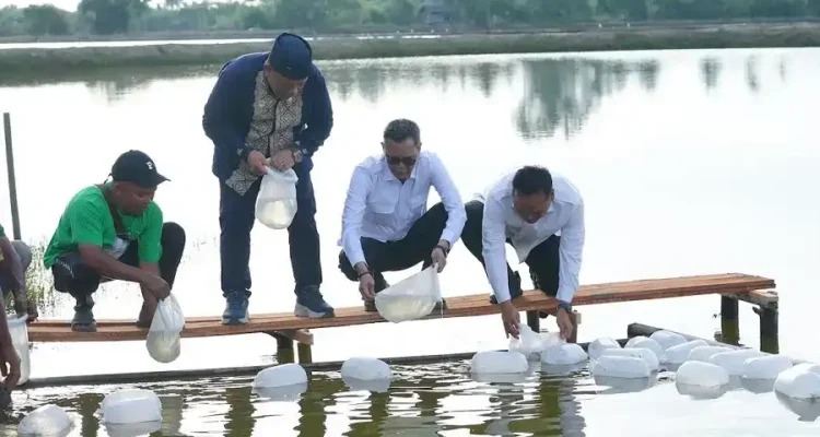 satgas-prr-percepat-pemulihan-ekonomi-aceh-lewat-sektor-tambak-kopi