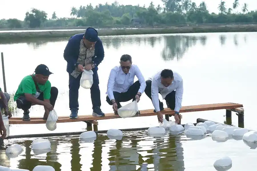satgas-prr-percepat-pemulihan-ekonomi-aceh-lewat-sektor-tambak-kopi