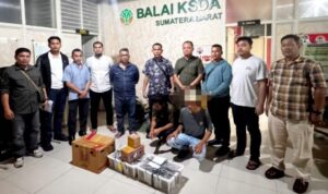 polda-sumbar-dan-bksda-gagalkan-penyelundupan-puluhan-beo-mentawai-di-bungus polda-sumbar-dan-bksda-gagalkan-penyelundupan-puluhan-beo-mentawai-di-bungus