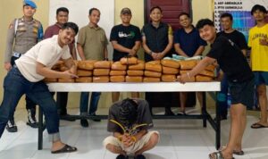 polres-padang-pariaman-gagalkan-peredaran-narkoba-ukuran-besar,-61-paket-ganja-diamankan polres-padang-pariaman-gagalkan-peredaran-narkoba-ukuran-besar,-61-paket-ganja-diamankan