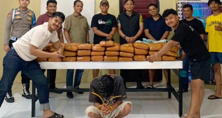 polres-padang-pariaman-gagalkan-peredaran-narkoba-ukuran-besar,-61-paket-ganja-diamankan
