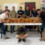 polres-padang-pariaman-gagalkan-peredaran-narkoba-ukuran-besar,-61-paket-ganja-diamankan