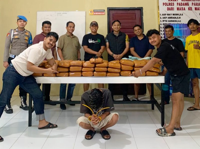 polres-padang-pariaman-gagalkan-peredaran-narkoba-ukuran-besar,-61-paket-ganja-diamankan