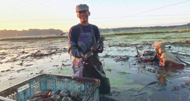 Penyerahan simbolis bantuan dana program pemberdayaan masyarakat oleh PT Semen Padang melalui Forum Nagari.